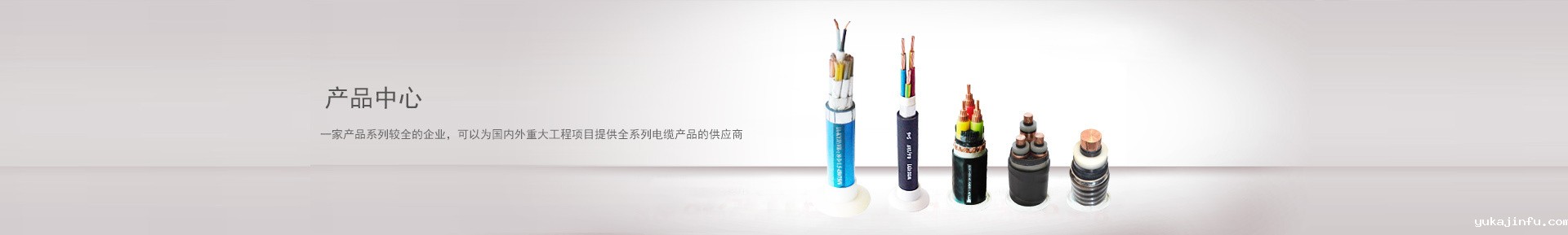 开云体育网站入口