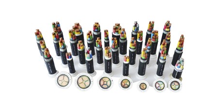 0.6/1kV 聚氯乙烯绝缘开云体育在线直播