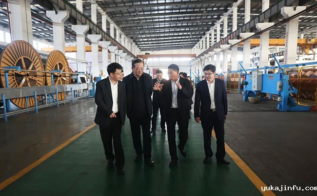 扬州市政协主席陈扬来公司开展扬州市人大代表与选民“统一见面日”活动